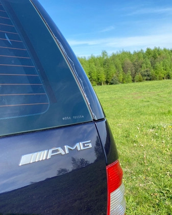 Mercedes-Benz ML cena 38500 przebieg: 242465, rok produkcji 2003 z Wolbrom małe 254